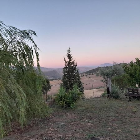 Agriturismo La Stragola ニコジーア エクステリア 写真