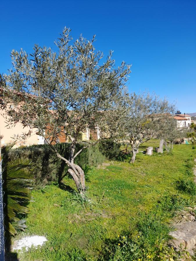 Agriturismo La Stragola ニコジーア エクステリア 写真