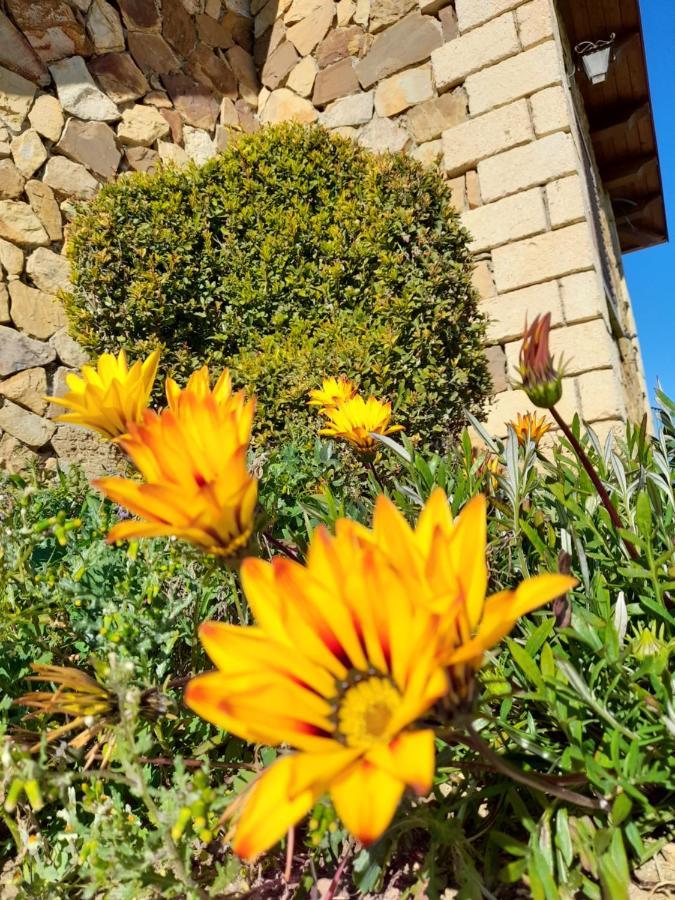 Agriturismo La Stragola ニコジーア エクステリア 写真