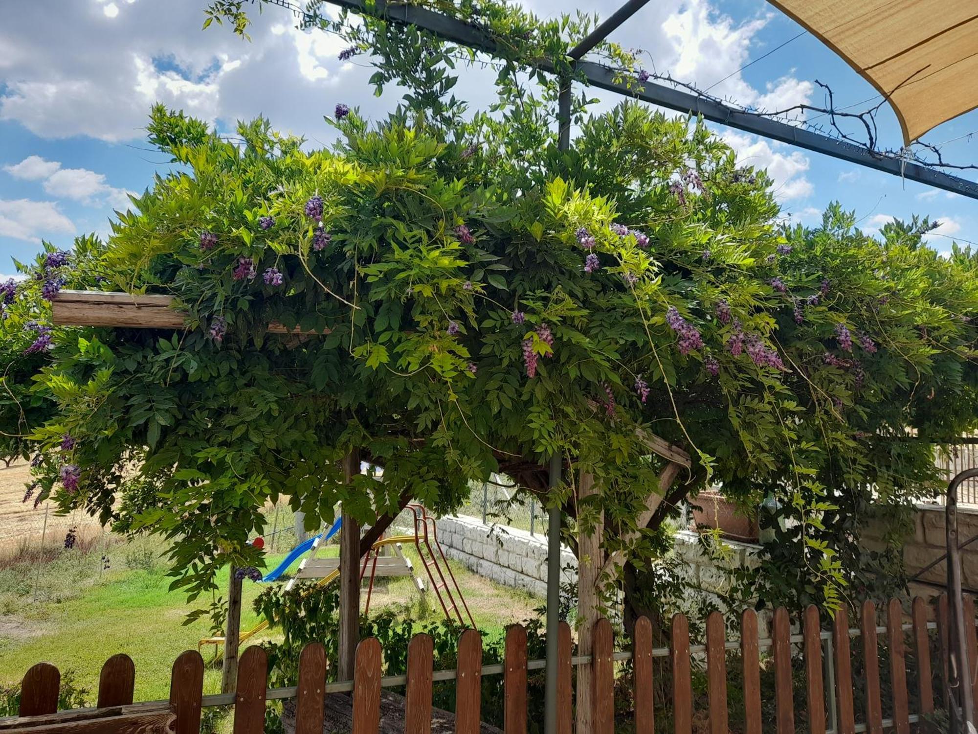 Agriturismo La Stragola ニコジーア エクステリア 写真